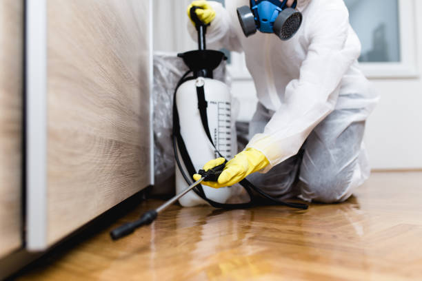 Best Emergency Pest Control  in Westway, TX