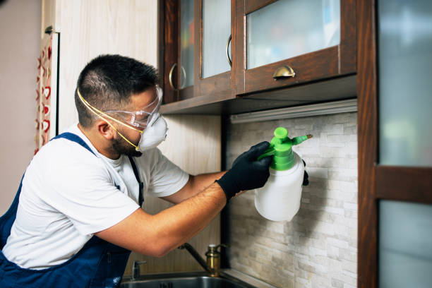 Best Exterminator Services  in Westway, TX