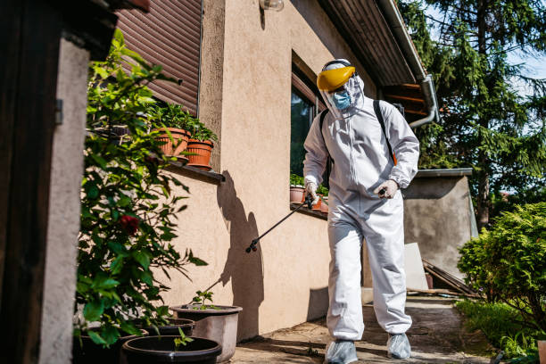 Pest Control for Restaurants in Westway, TX