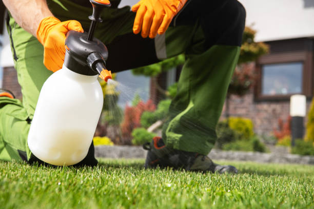 Best Pest Control for Restaurants  in Westway, TX