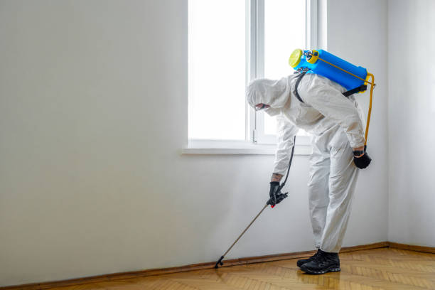 Best Pest Removal Services  in Westway, TX