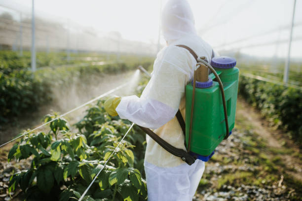 Best Best Pest Control Companies  in Westway, TX